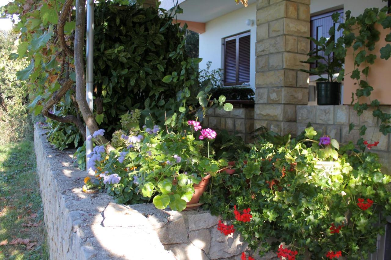 Family Friendly Seaside Apartments Kozino, Zadar - 5749 Petrcane Exteriör bild